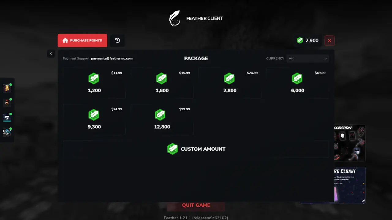 Purchase Feather Points